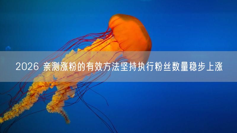 2026 亲测涨粉的有效方法坚持执行粉丝数量稳步上涨