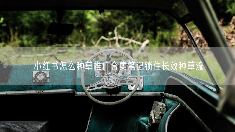 小红书怎么种草推广合集笔记锁住长效种草流