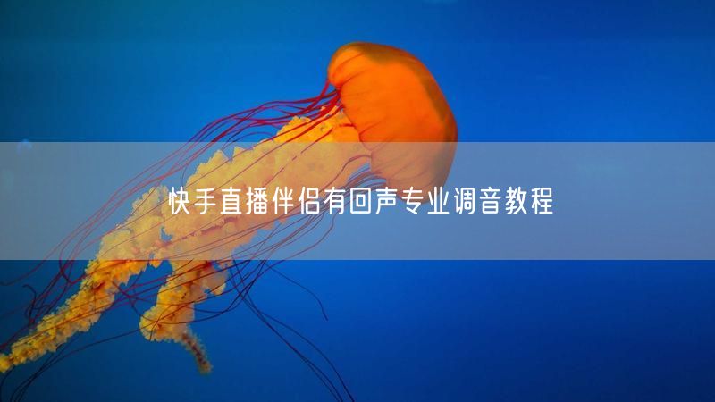 快手直播伴侣有回声专业调音教程