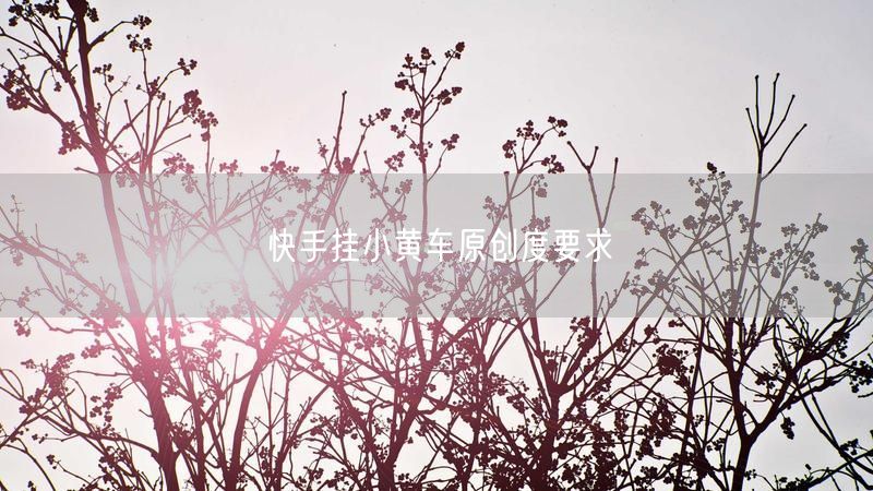快手挂小黄车原创度要求