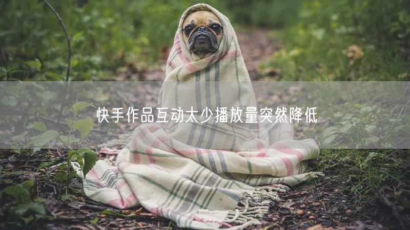 快手作品互动太少播放量突然降低