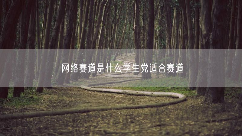 网络赛道是什么学生党适合赛道
