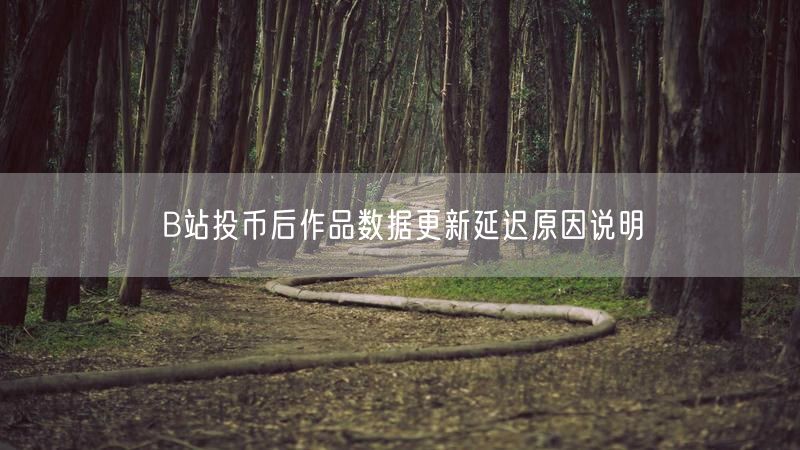 B站投币后作品数据更新延迟原因说明