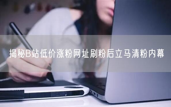 揭秘B站低价涨粉网址刷粉后立马清粉内幕