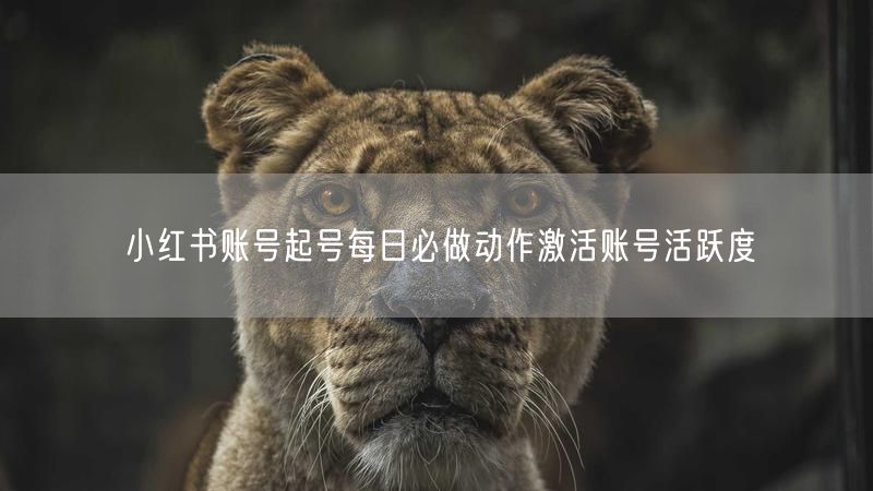 小红书账号起号每日必做动作激活账号活跃度