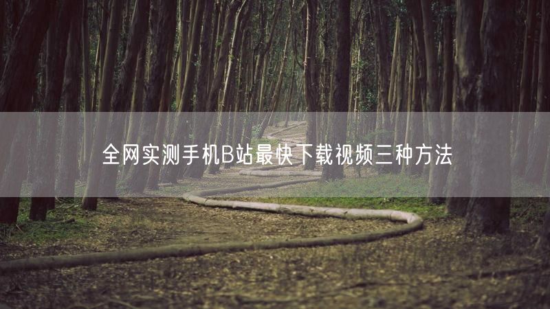 全网实测手机B站最快下载视频三种方法