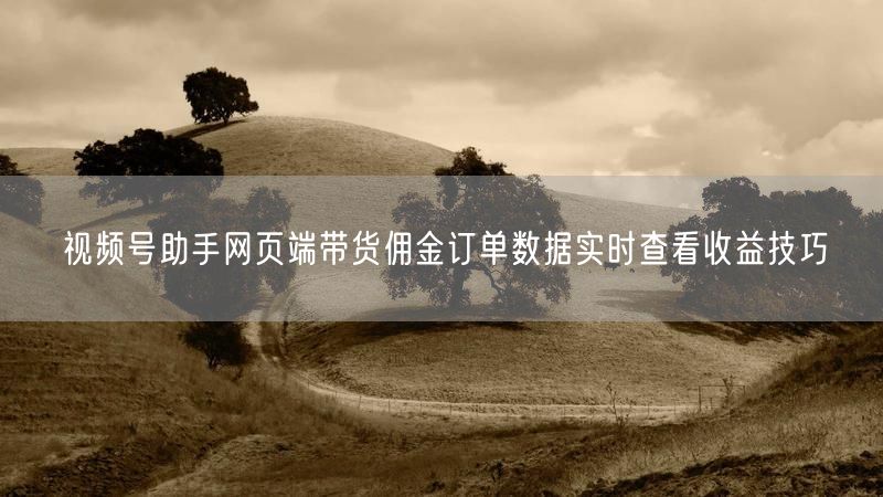 视频号助手网页端带货佣金订单数据实时查看收益技巧