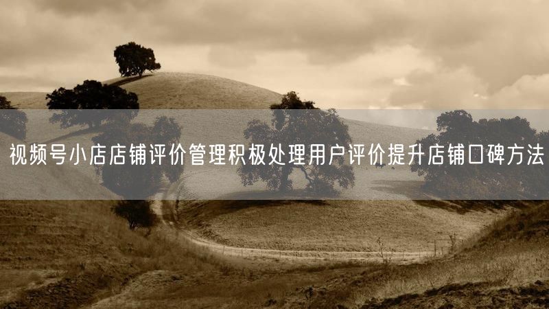 视频号小店店铺评价管理积极处理用户评价提升店铺口碑方法