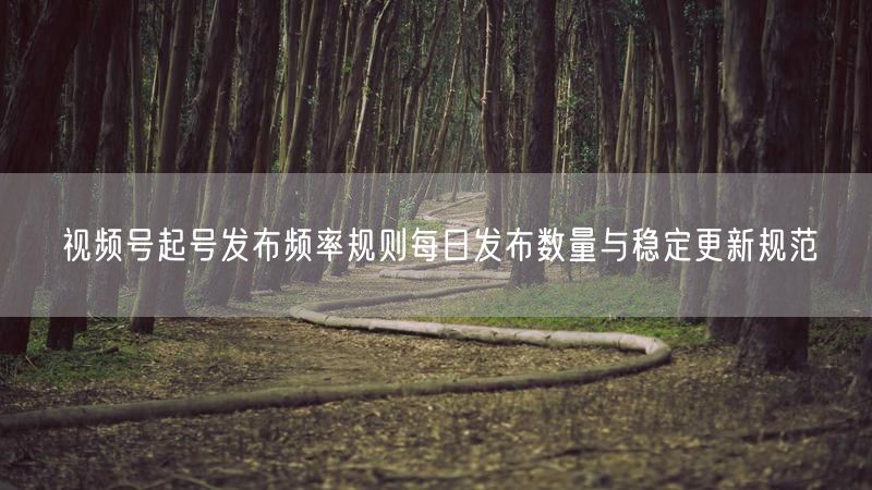 视频号起号发布频率规则每日发布数量与稳定更新规范