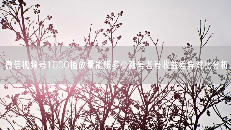 微信视频号1000播放量能赚多少新号老号收益差异对比分析