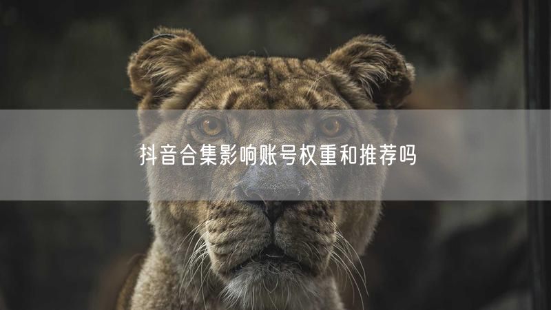 抖音合集影响账号权重和推荐吗