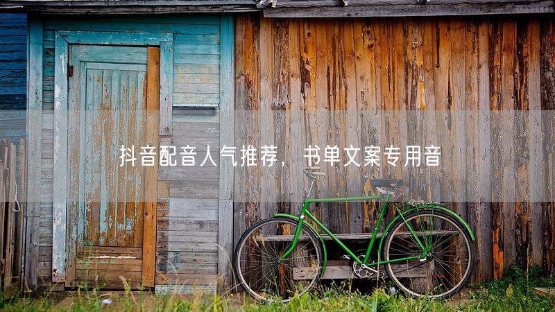 抖音配音人气推荐，书单文案专用音