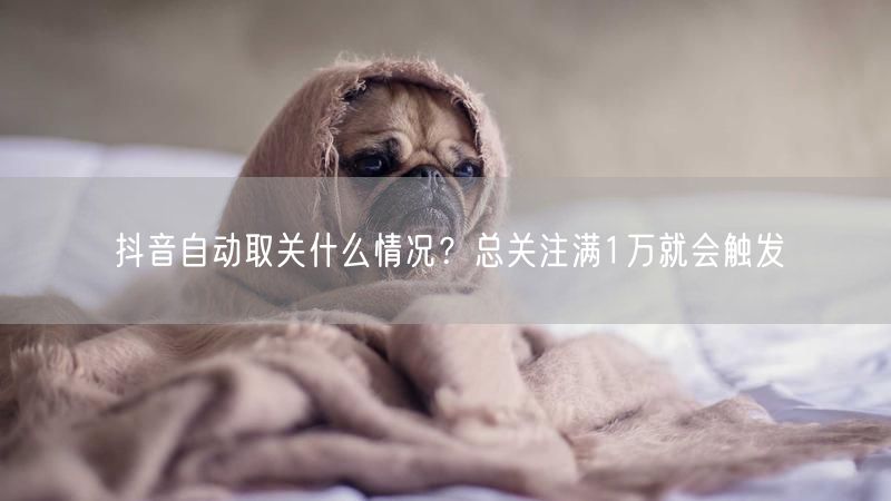 抖音自动取关什么情况？总关注满1万就会触发