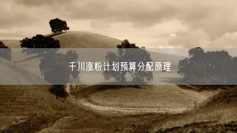 千川涨粉计划预算分配原理